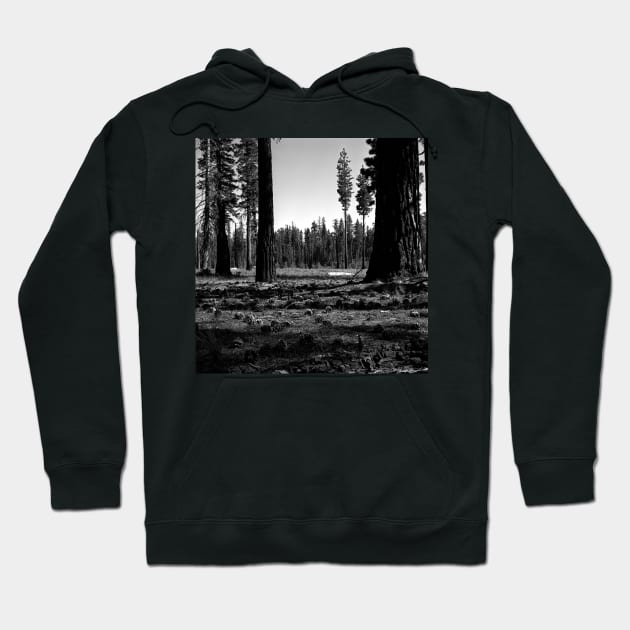 Near Hetch-Hetchy in Yosemite N.P. Hoodie by rodneyj46